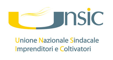 logo unsic